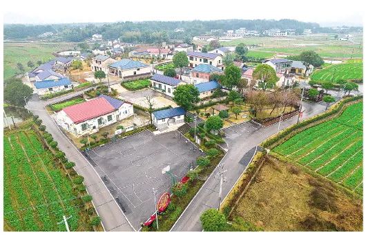 宁乡市陈家桥村治之变昔日忙告状今日当榜样